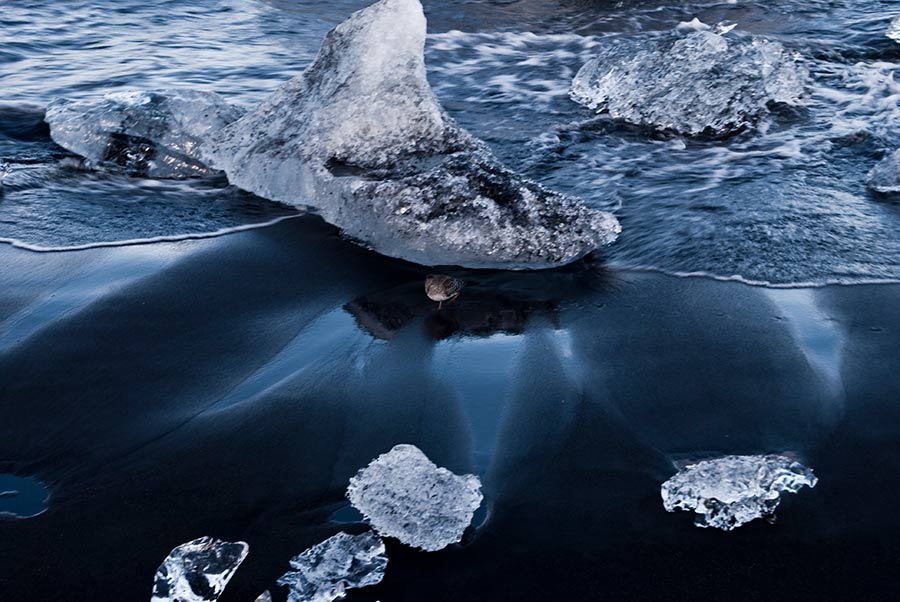 Jökulsárlón, icebergs y ceniza