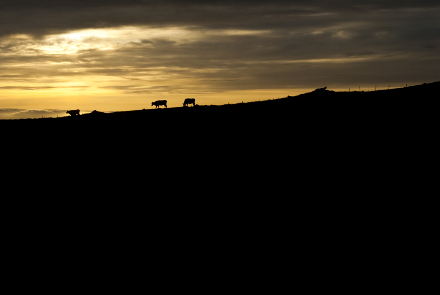 Sol de medianoche en Myvatn, Islandia